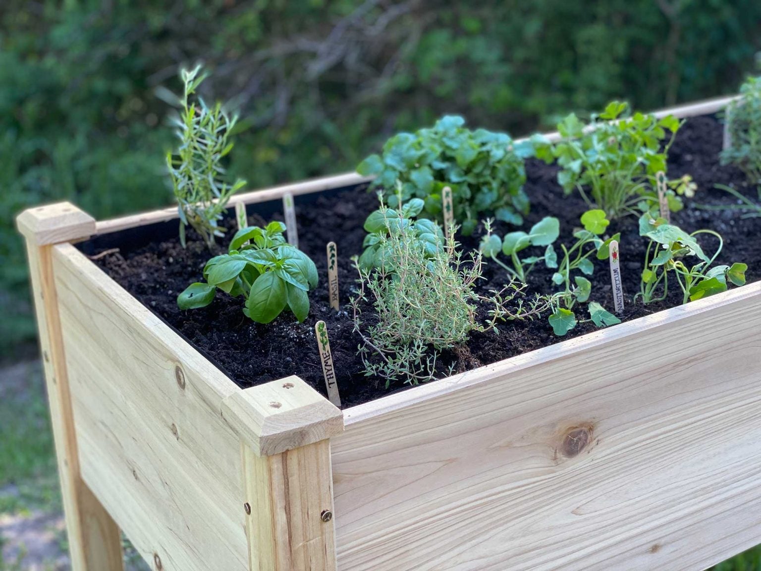 Home Gardening Benefits Of Using Raised Garden Beds Agdaily