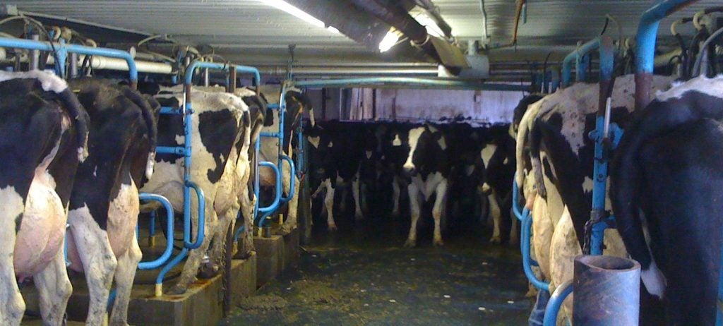 Positioning a dairy farmer for profitability | AGDAILY