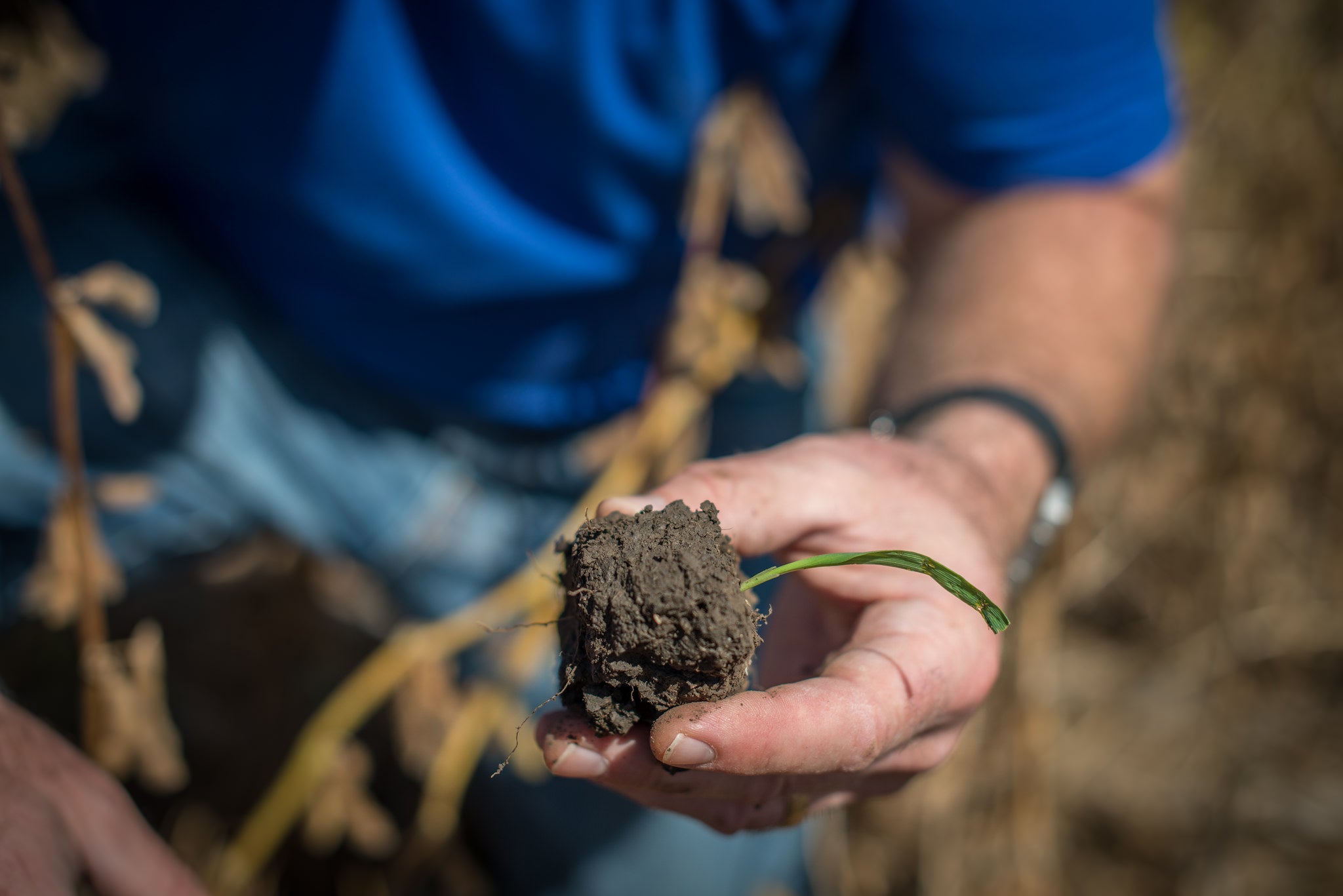 19 Ways To Now Measure Your Soil Health | AGDAILY