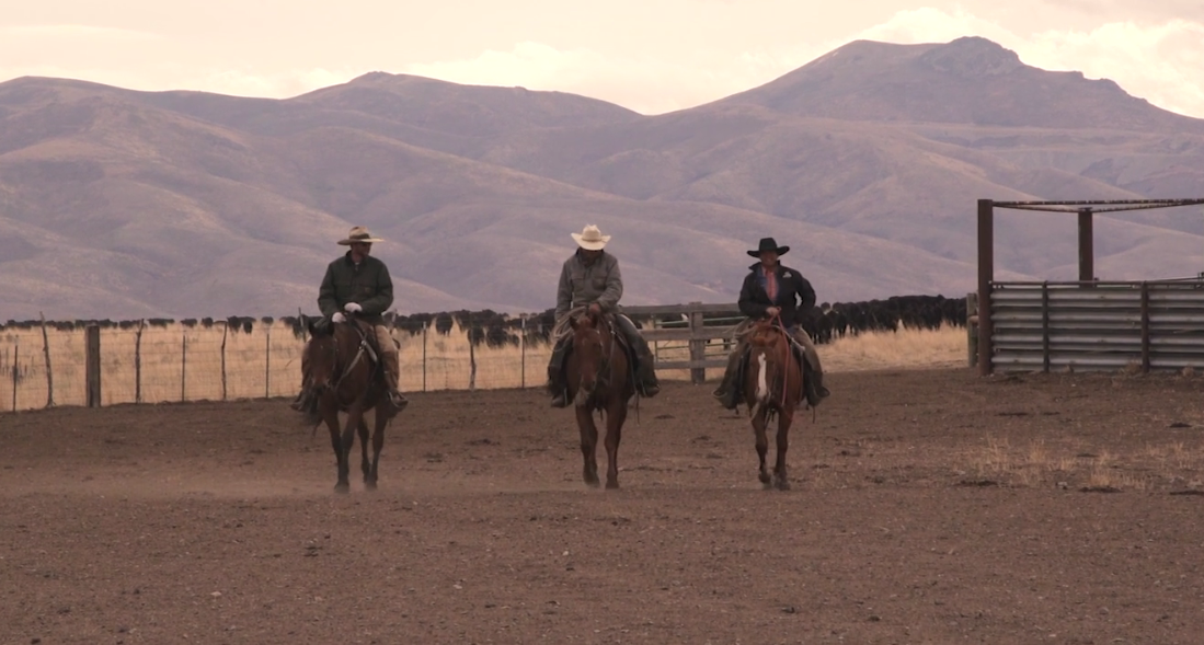 Trailer for 2018's 'Cowboys: A Documentary Portrait' | AGDAILY