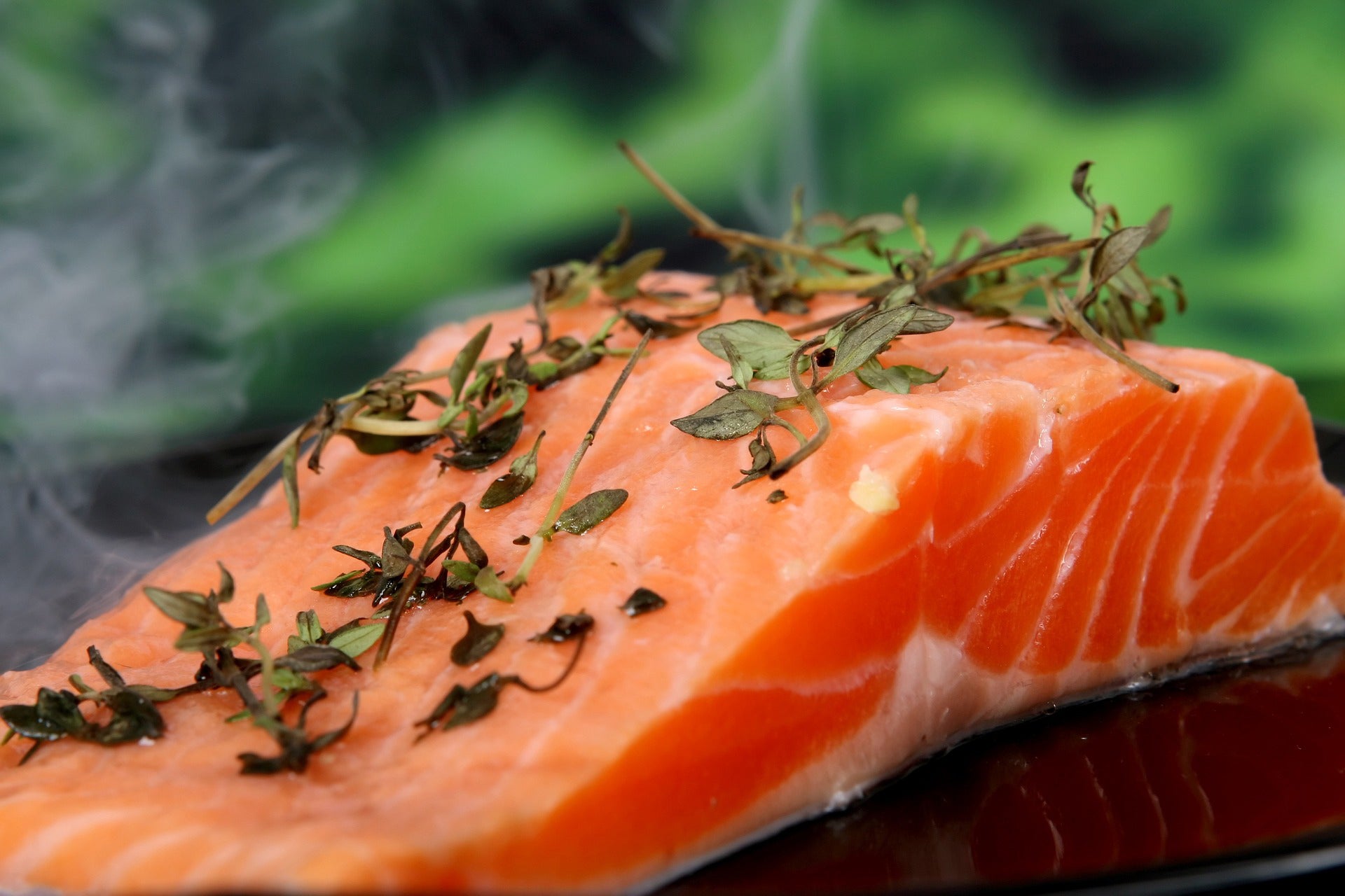 canada-first-to-sell-genetically-modified-salmon-agdaily