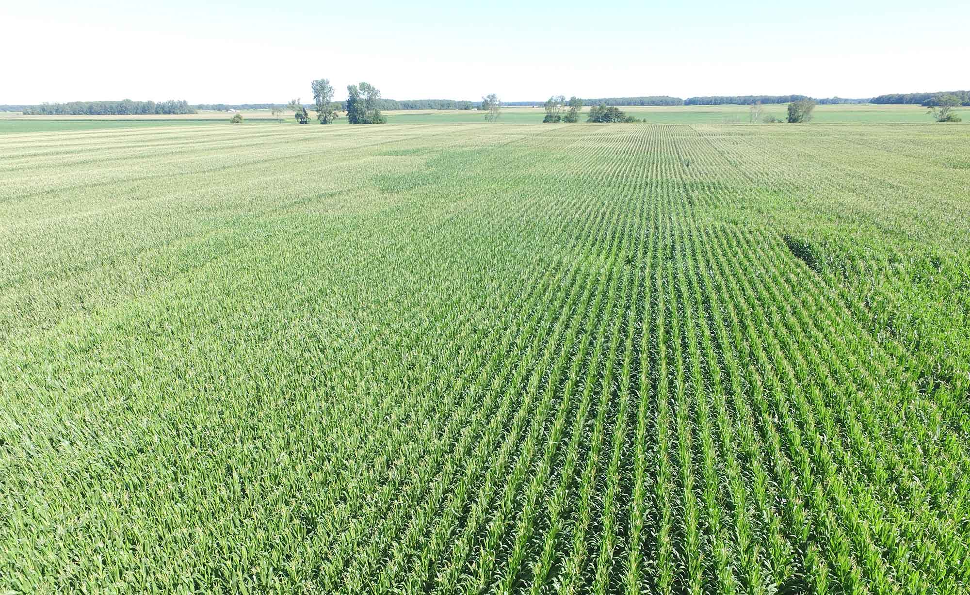 Farmer S Life Plenty Of Perks When Using Drones To Scout Fields Agdaily