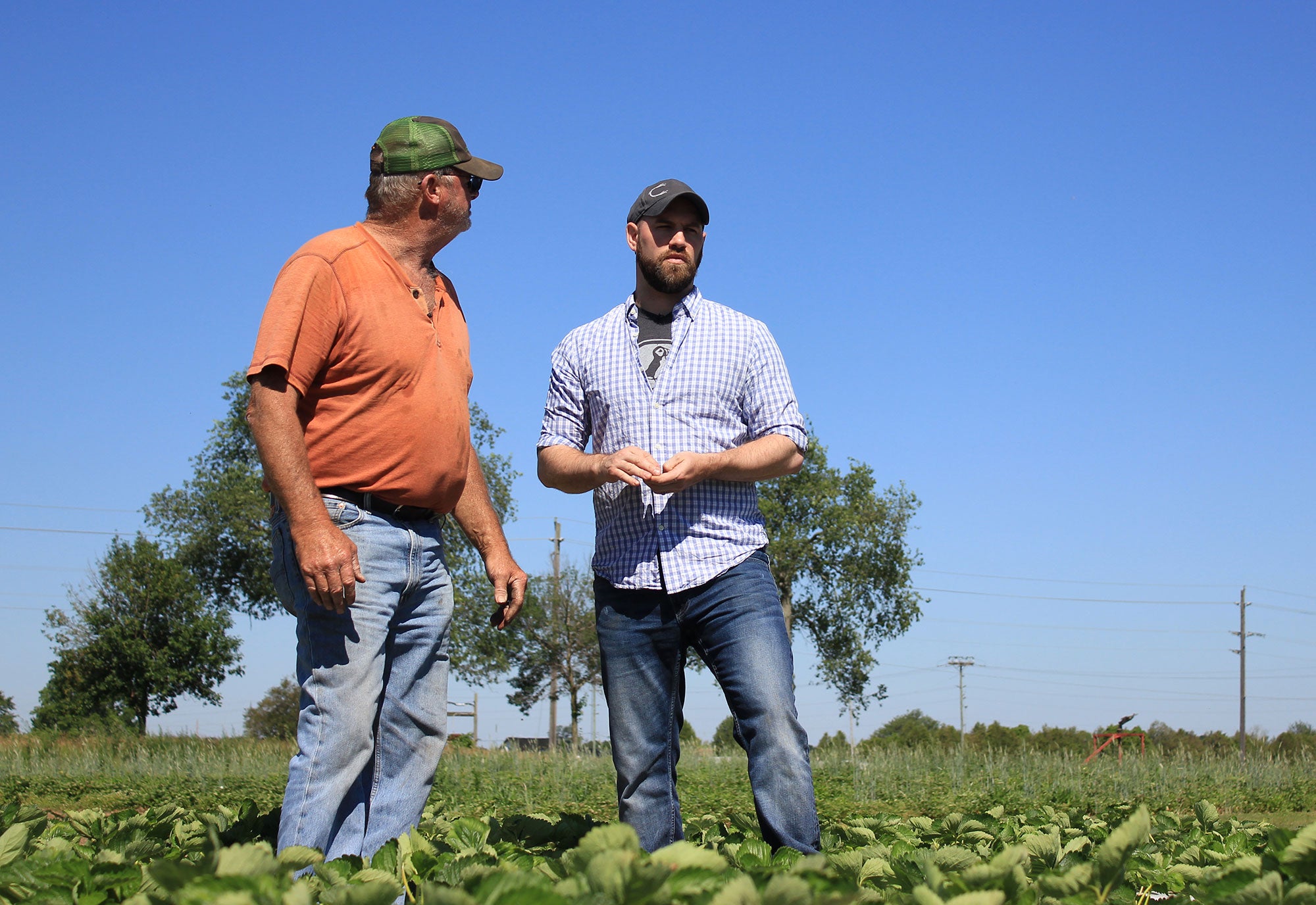 Before The Plate Stop Talking Farming And Start Talking Food Agdaily