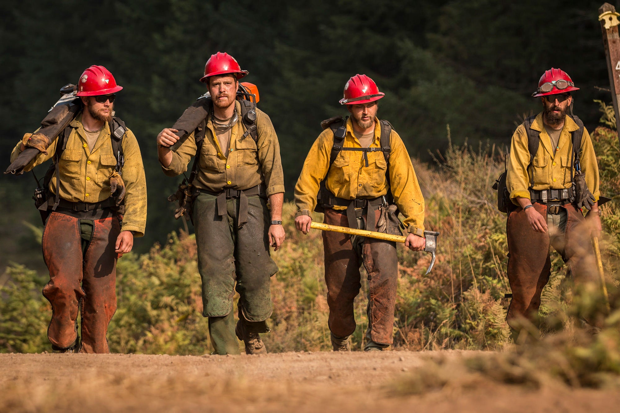 Usda Wildland Fire Suppression Costs Exceed 2 Billion Agdaily 2205