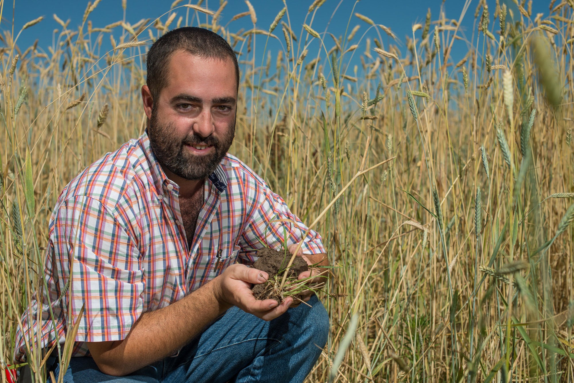 General Mills increases investment in soil health | AGDAILY