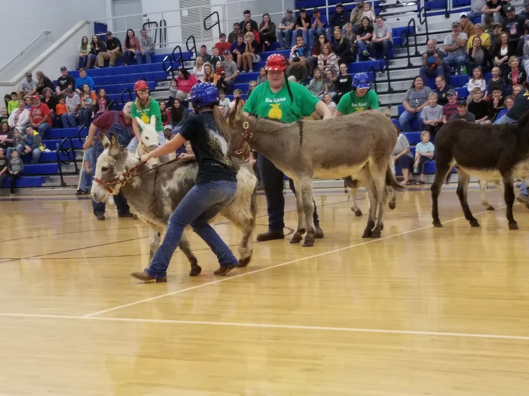 Jackson County donkey basketball A 52year FFA tradition AGDAILY