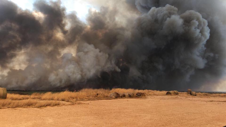 Donations needed for ranchers caught in Oklahoma wildfires | AGDAILY