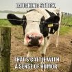 15 great farming memes that say exactly what's on your mind | AGDAILY