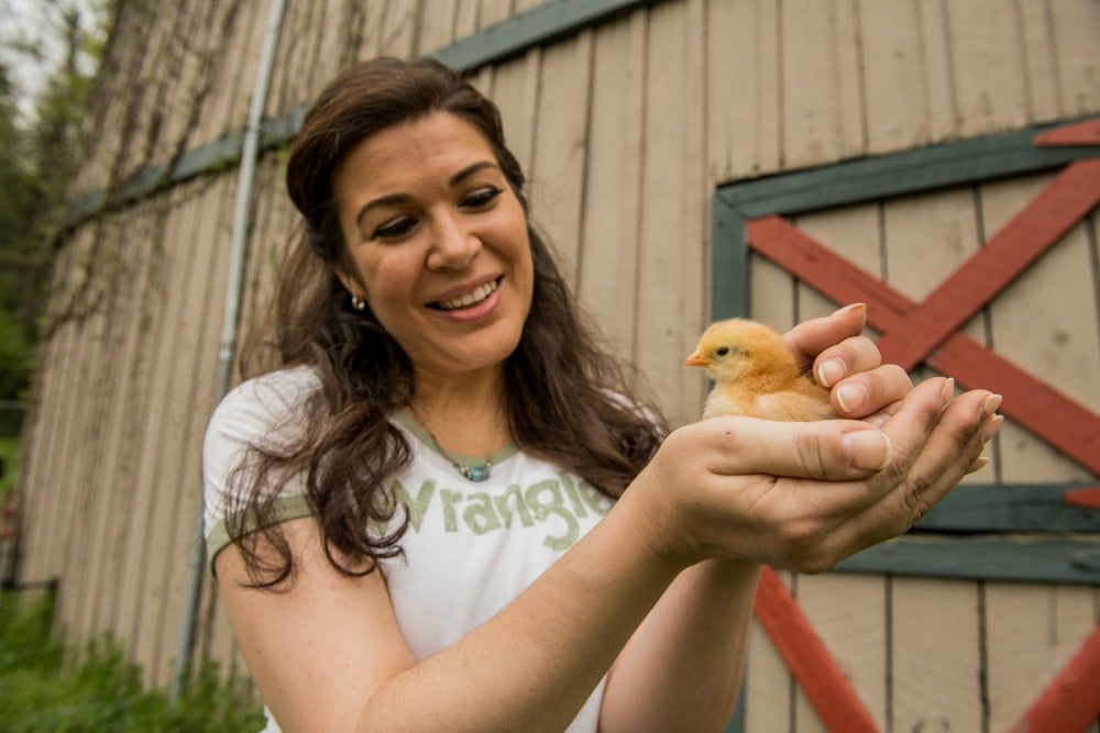 Tractor Supply's Chick Days to help novices get flock started AGDAILY
