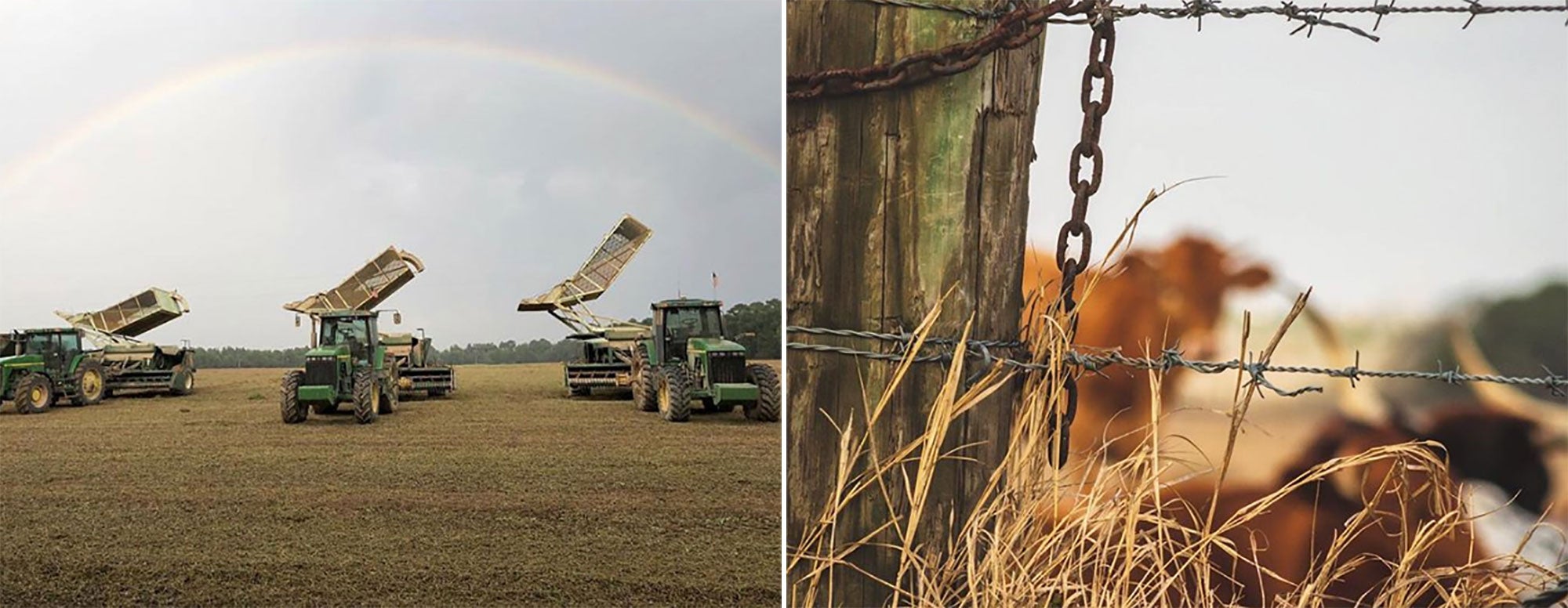 Ag On Instagram: The Best Farm Photos From Sept. 28 | AGDAILY