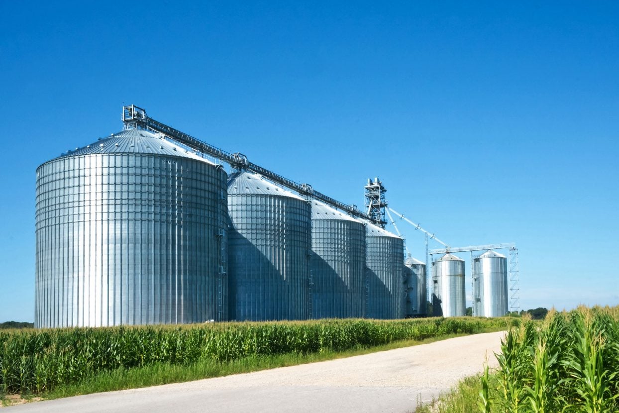 Study: How farmers decide to store or sell their grain | AGDAILY