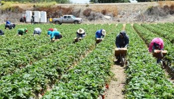 Farmer’s Life: What we’ve learned about cover crops | AGDAILY