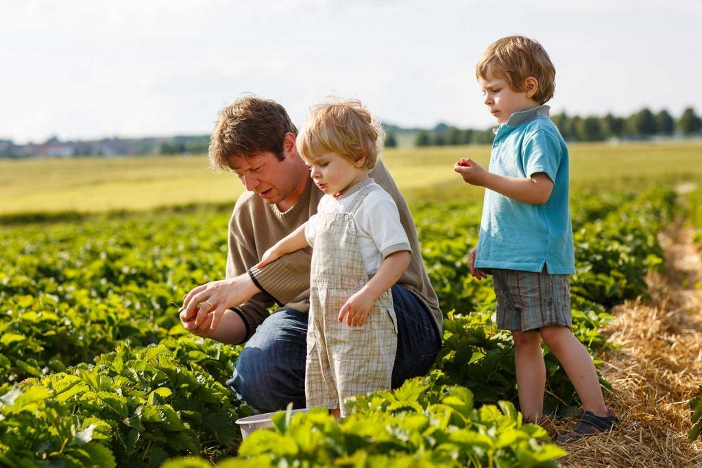 No room for accidents Keeping farm kids safe AGDAILY