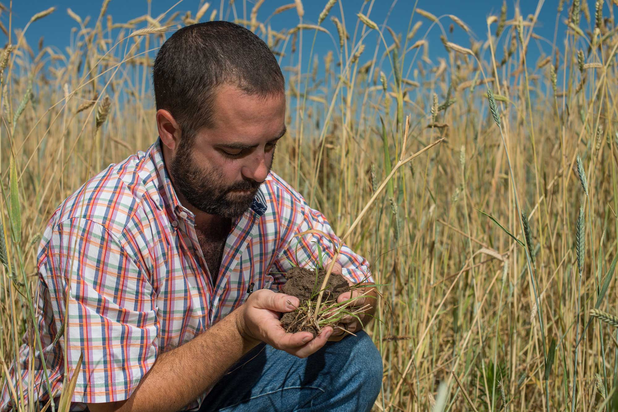 Soil Health Partnership Announces Seeds Of Change Awards | AGDAILY