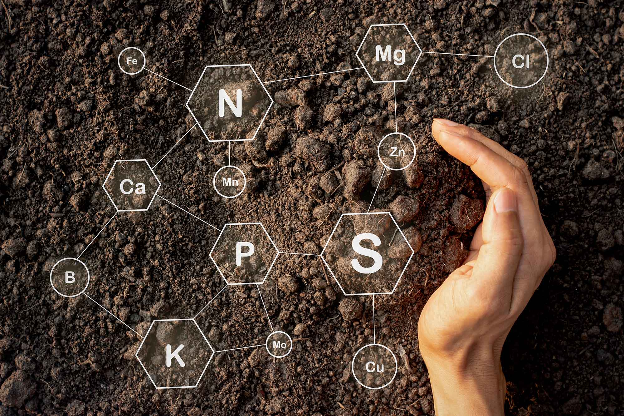 research paper on soil health