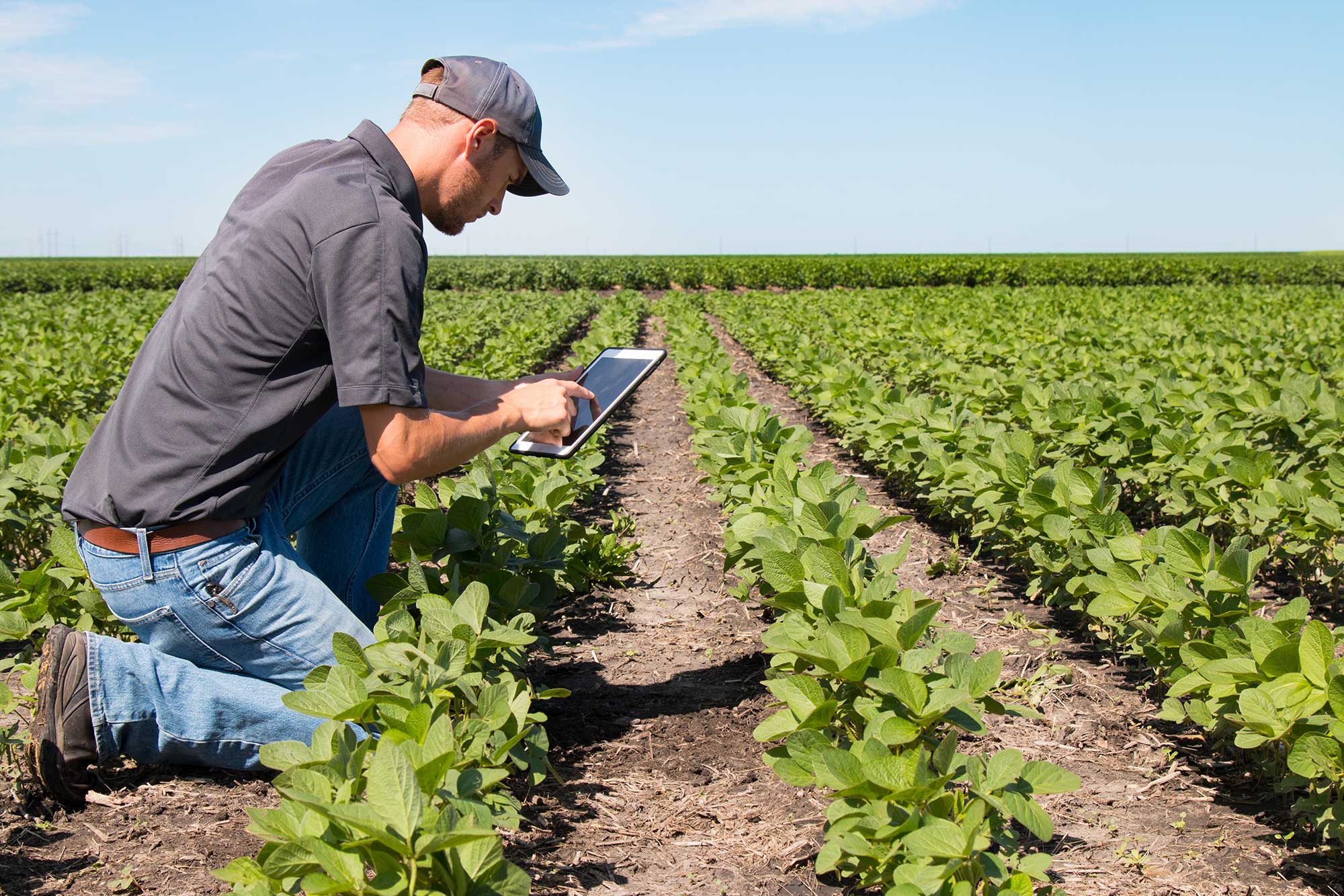 Innovation and technology will change how we feed the world | AGDAILY