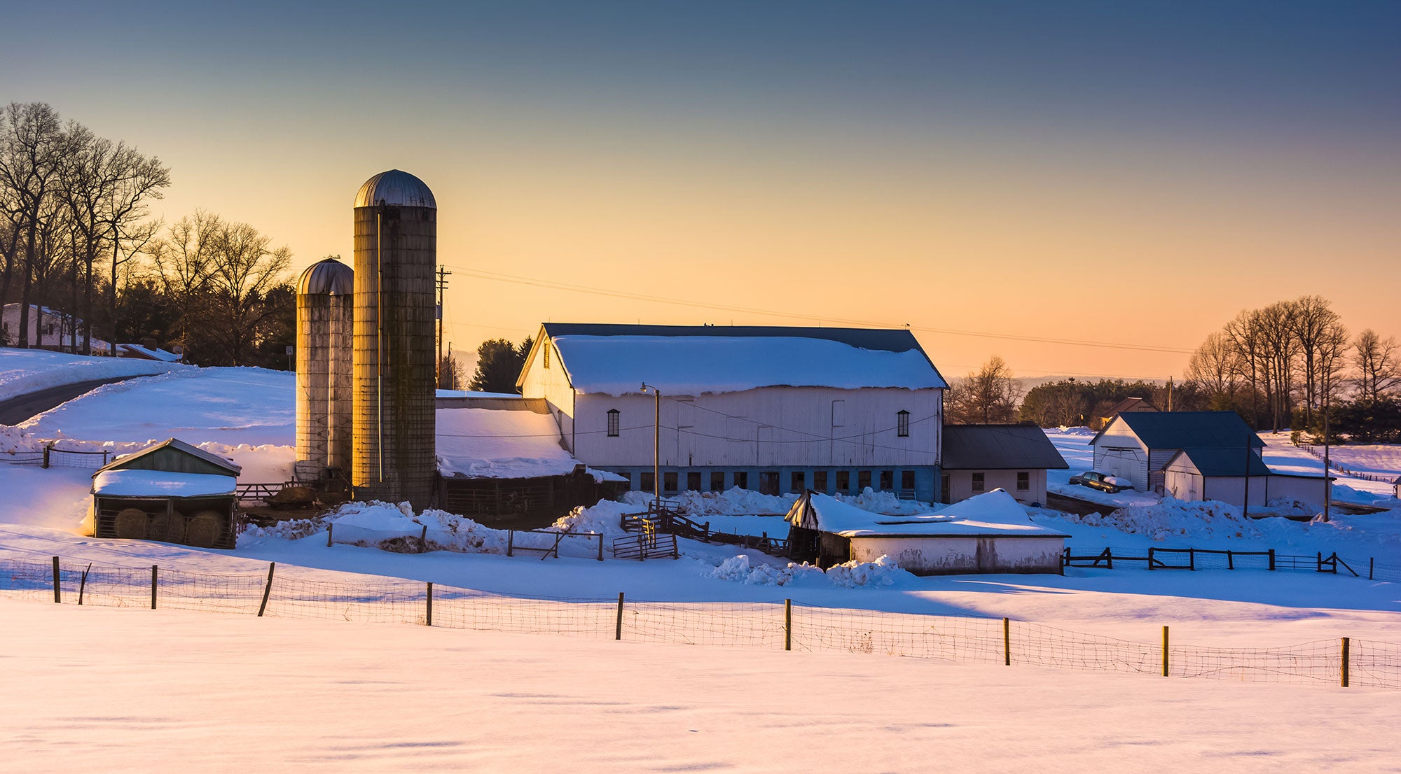 10 best winter moments on the farm AGDAILY