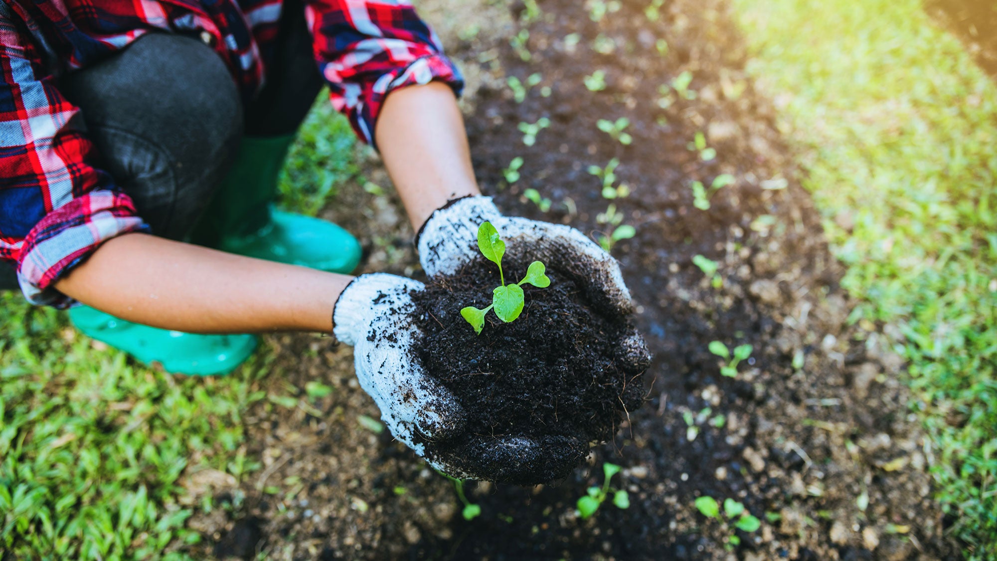 best-farming-practices-for-soil-health-vary-by-region-agdaily