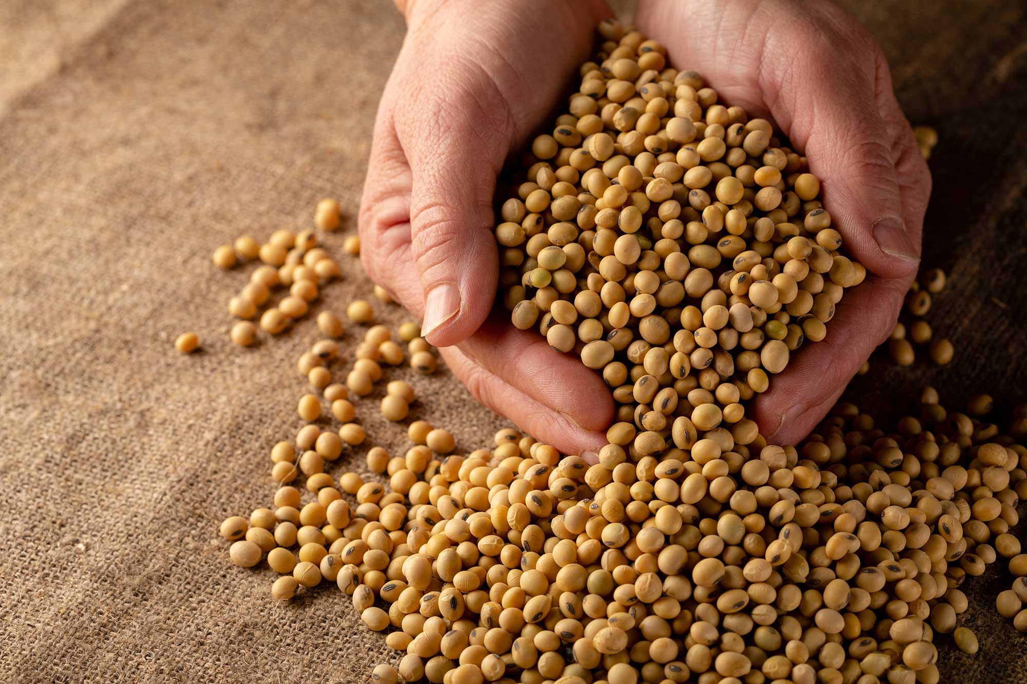 Nutrien Ag Recommendations To Protect Soybean Seed Quality AGDAILY