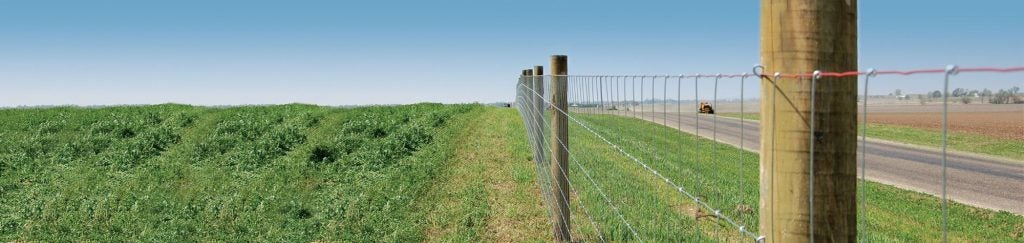 bare wire fence