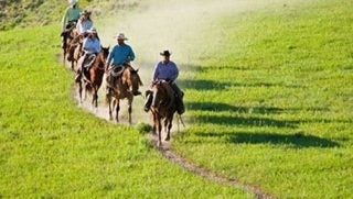 Saddle Back Ranch