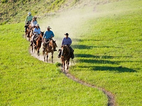 Saddle Back Ranch