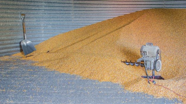 grain safety