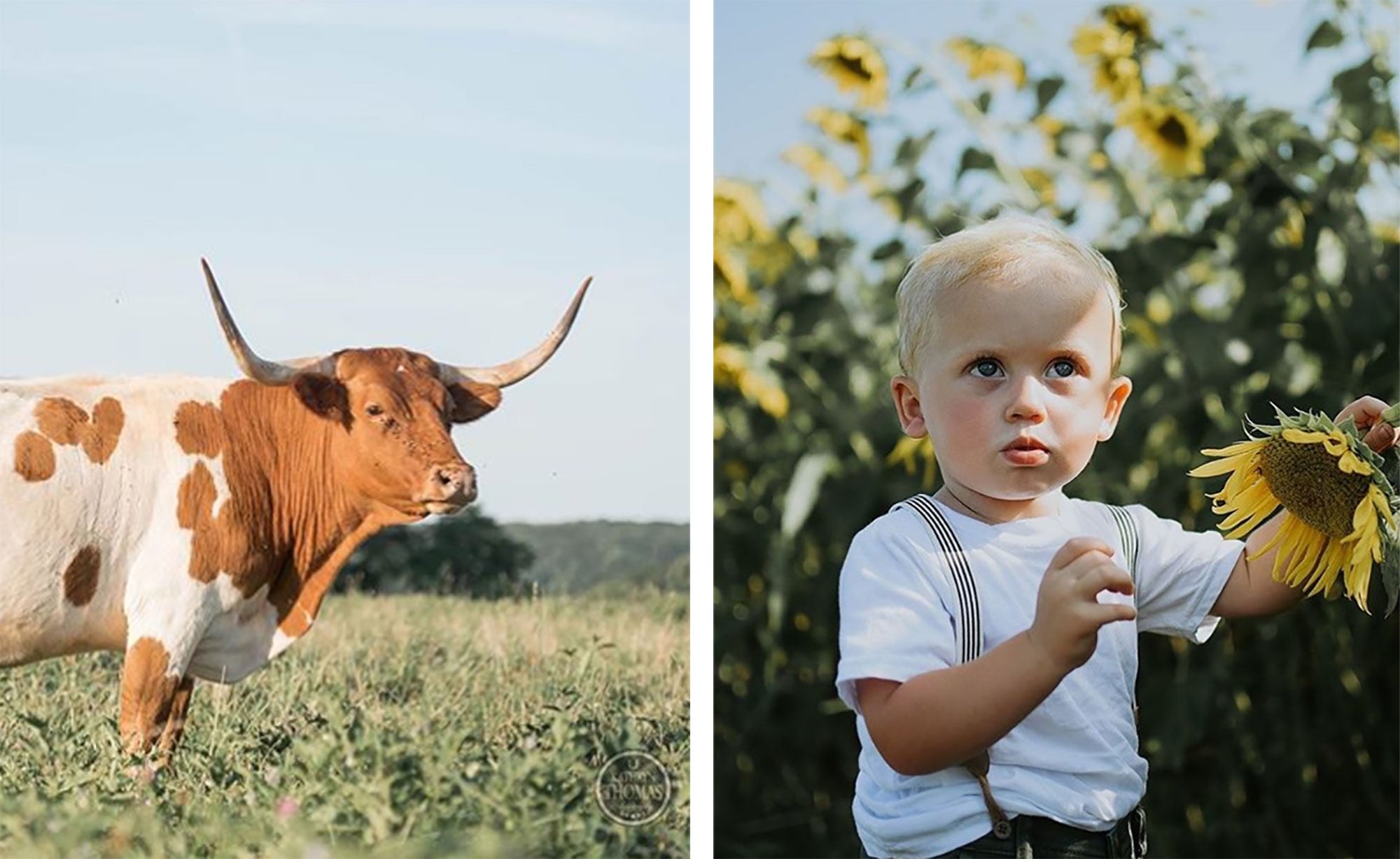 Ag On Instagram: The Best Farm Photos From July 25, 2019 | AGDAILY