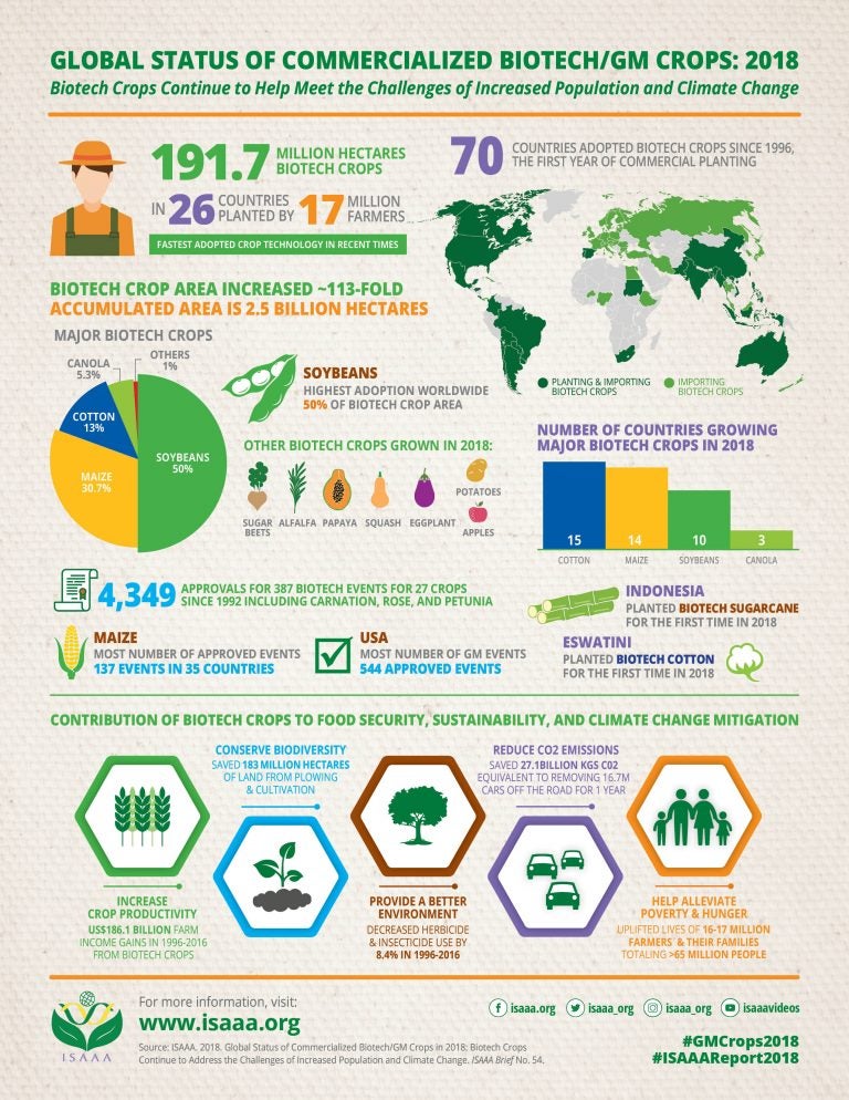 Report: Adoption of biotech crops rapidly increases globally | AGDAILY