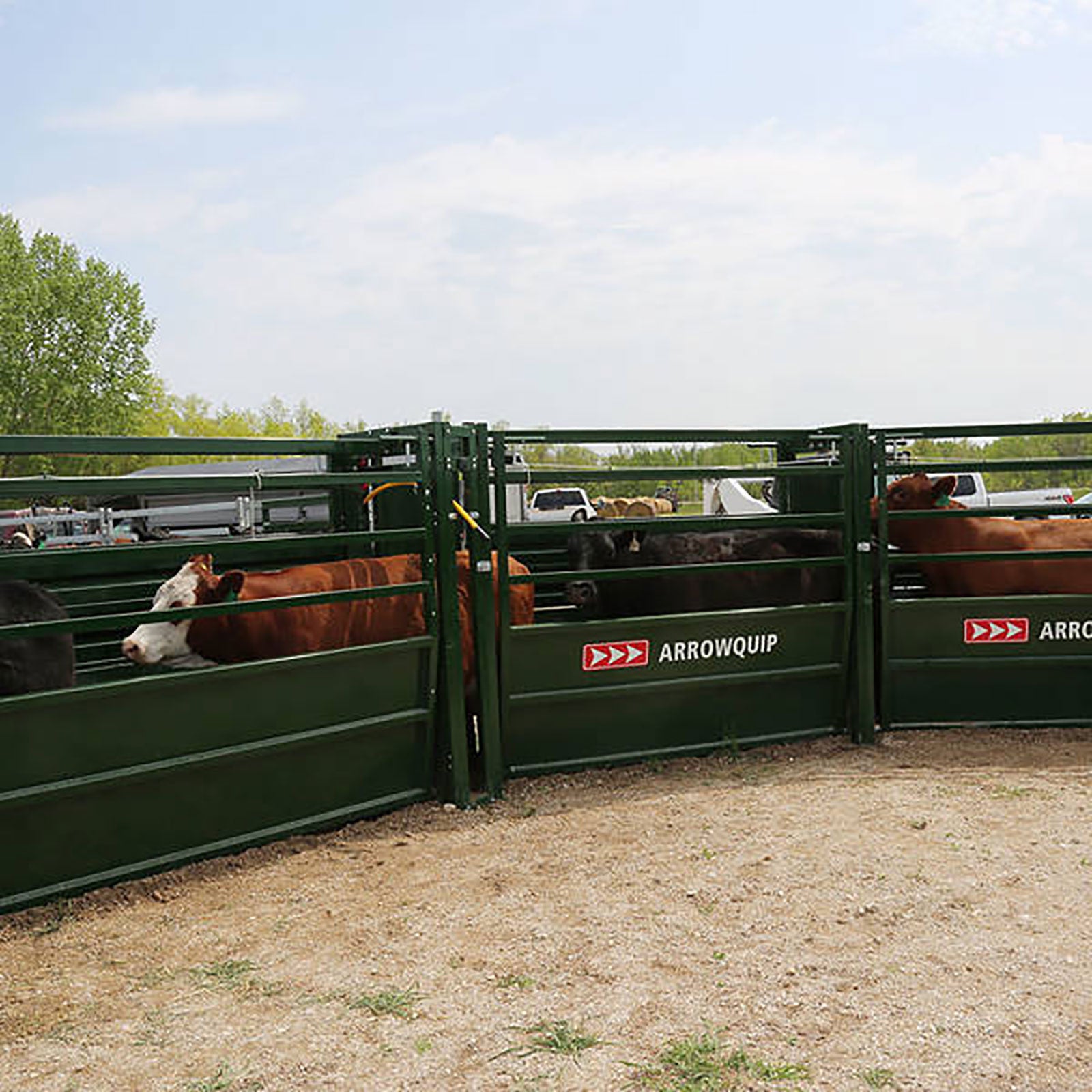 Arrowquip reinvented cattle tubs & alleys for enhanced flow AGDAILY