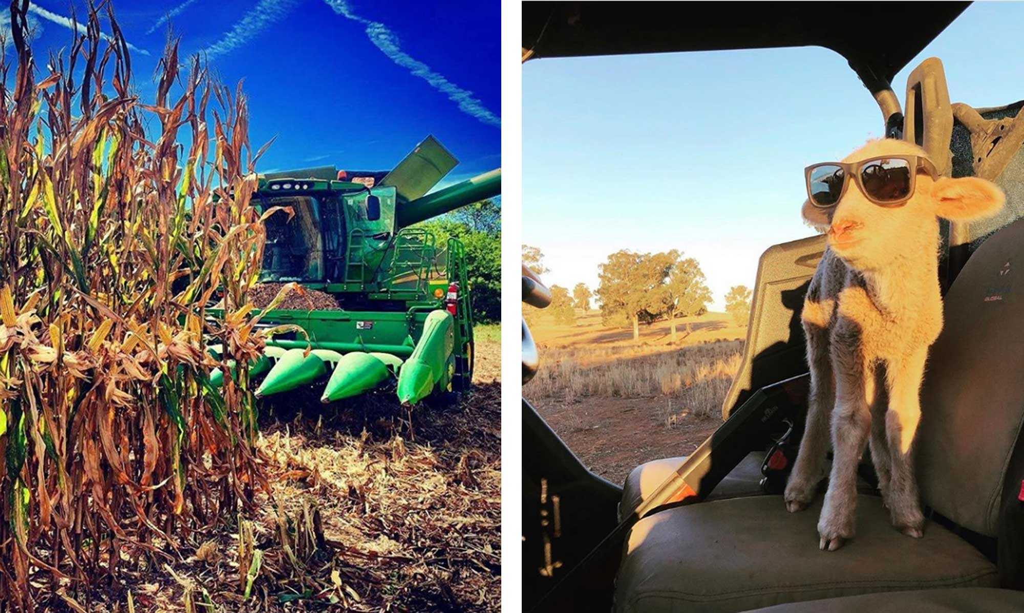 Ag On Instagram: The Best Farm Photos From Sept. 19, 2019 | AGDAILY