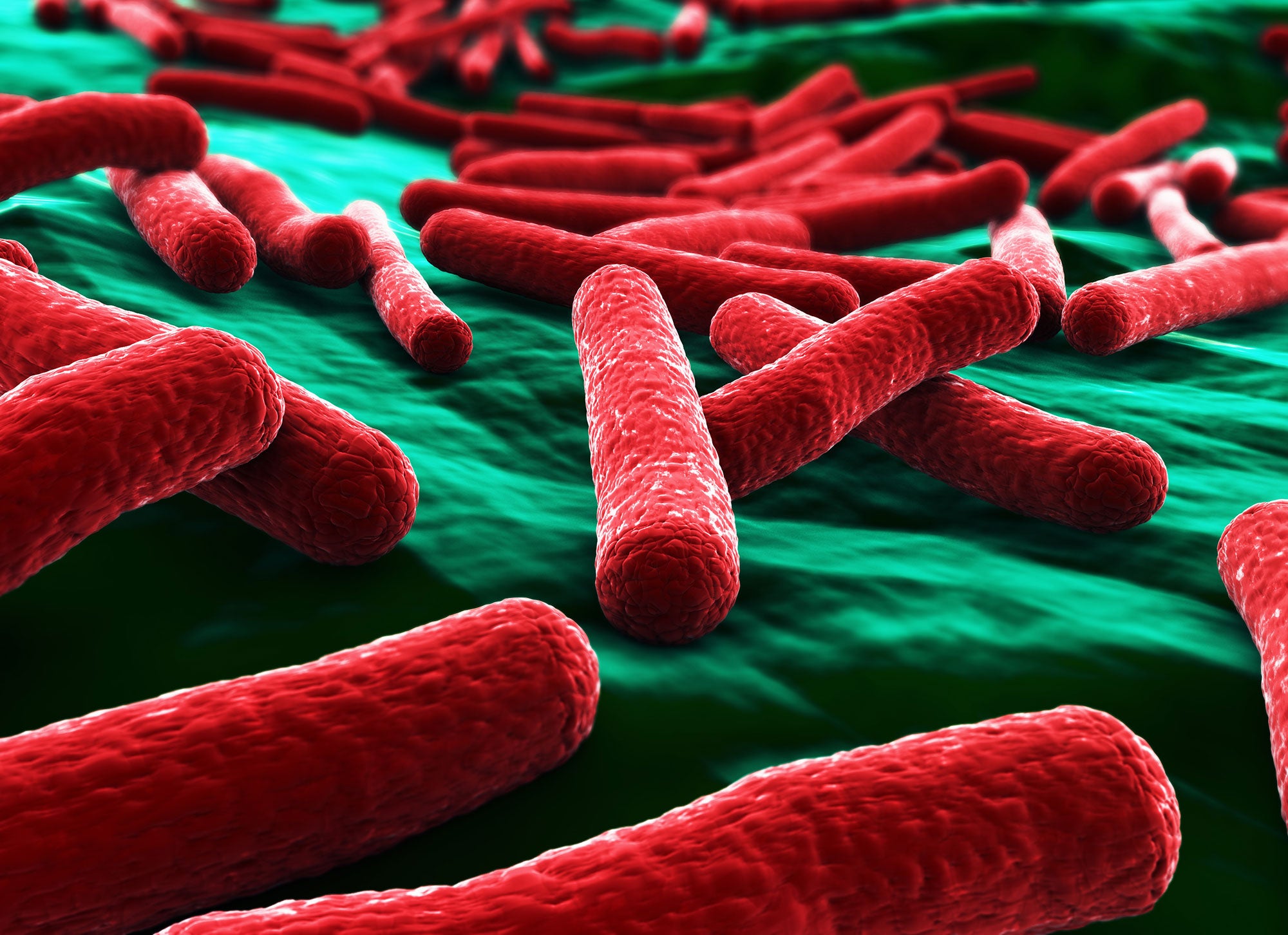 poor-toilet-hygiene-not-food-spreads-antibiotic-resistant-e-coli