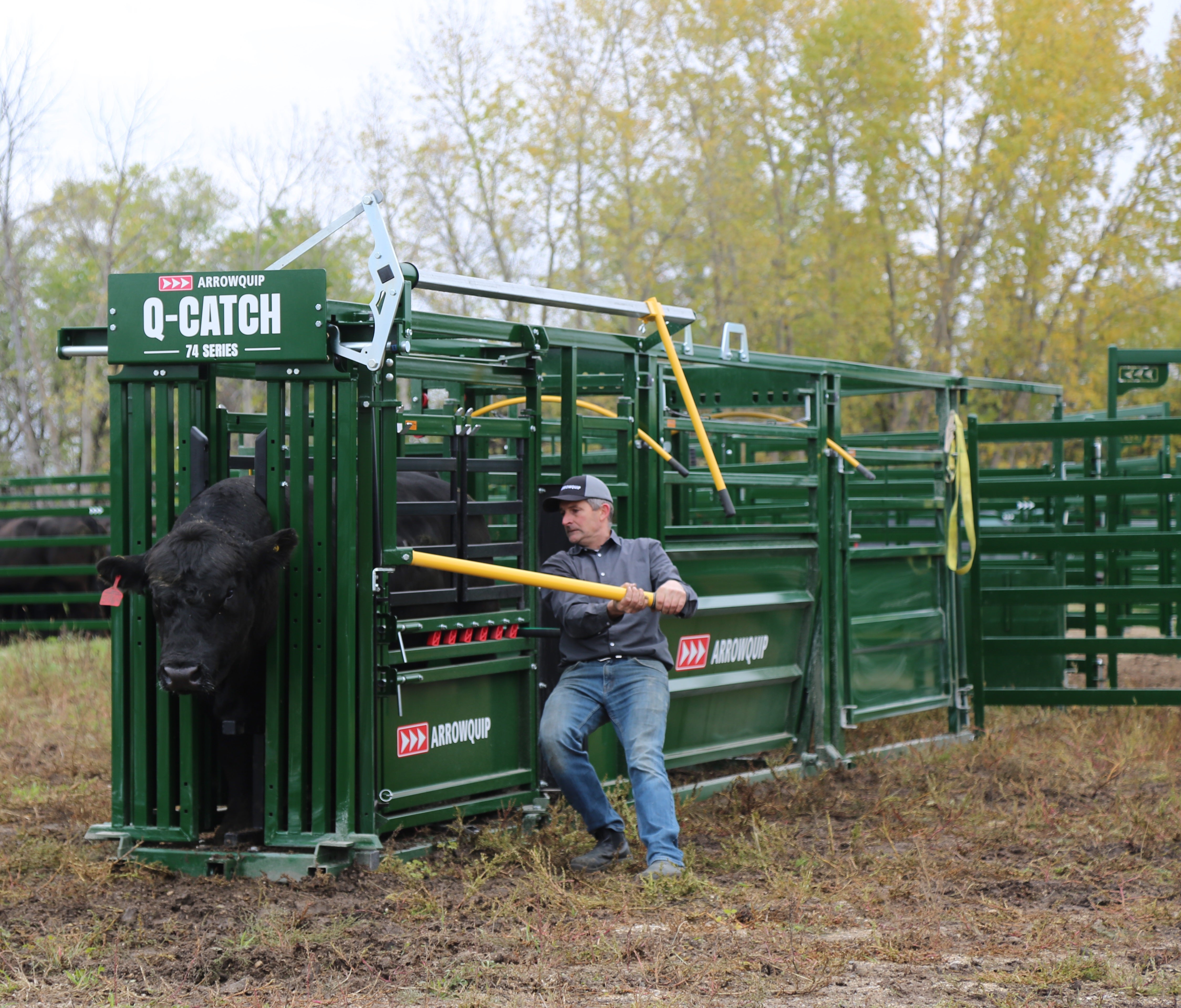 Arrowquip: Next Generation Of Cattle-handling And Equipment | AGDAILY