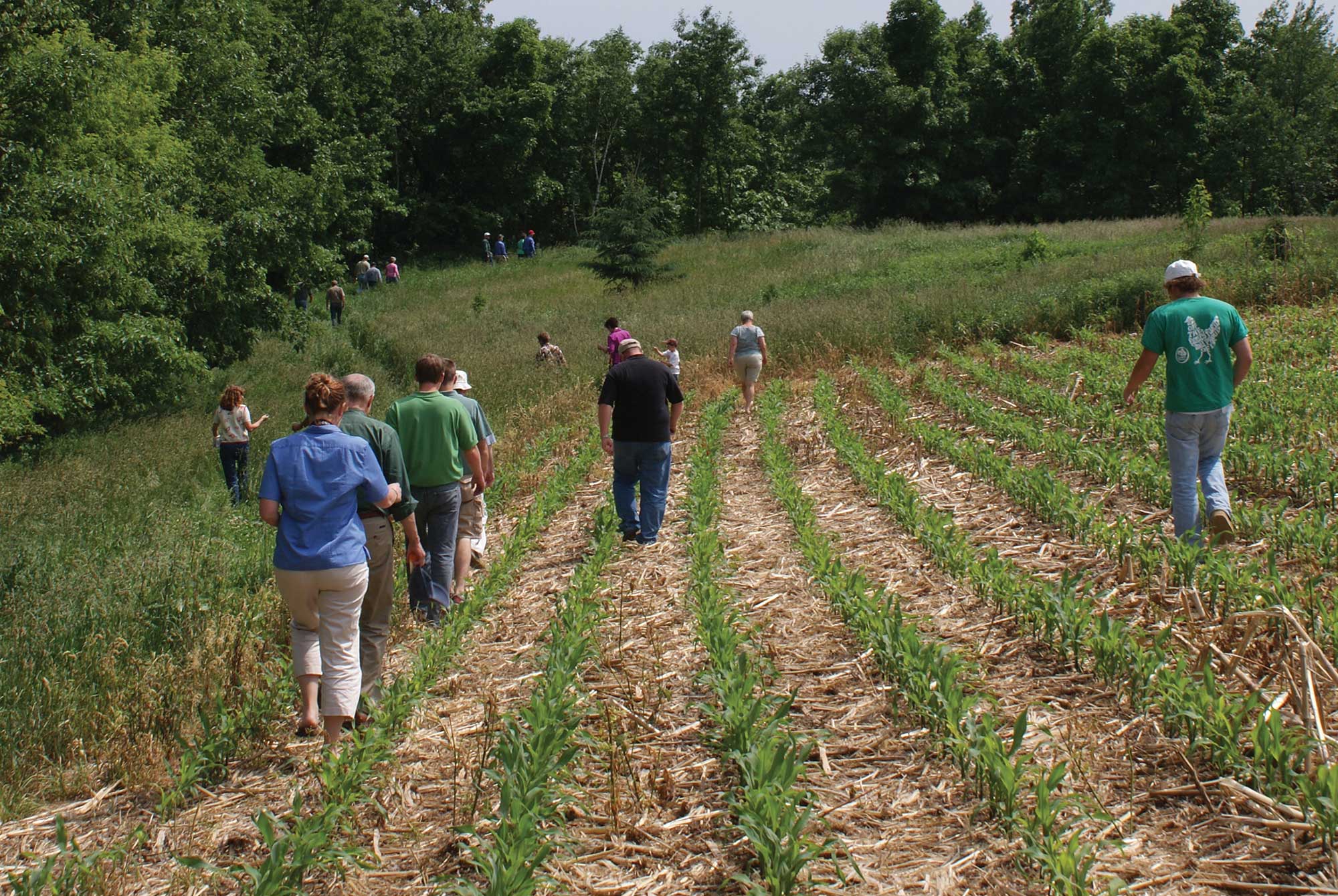 Conservation In Agriculture Is A Constant State Of Learning | AGDAILY