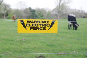 farm electric fence