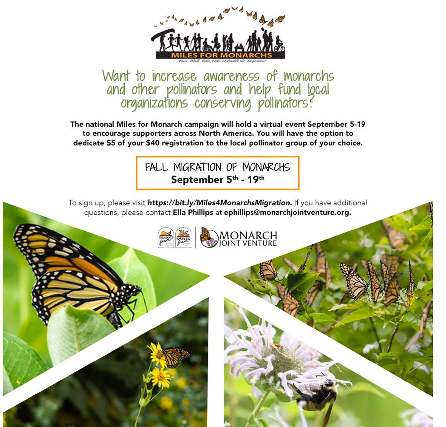 Virtual Miles for Monarchs event set to coincide with fall migration ...