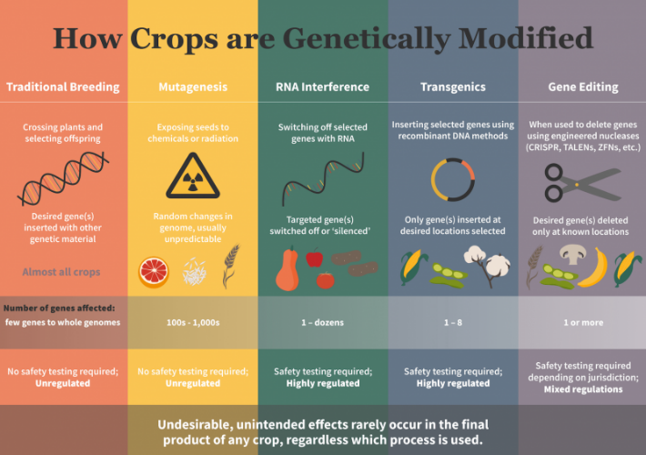 Top 8 GMO Myths And The Truth Behind The Information You've Been Fed ...