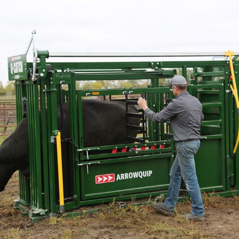 Not all cattle chutes are made equal: Here's what to look for | AGDAILY