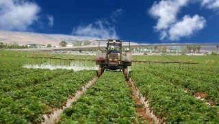 california-strawberry-pesticide