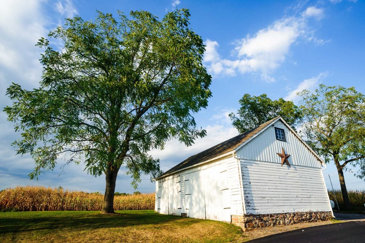 barn star meaning        
        <figure class=