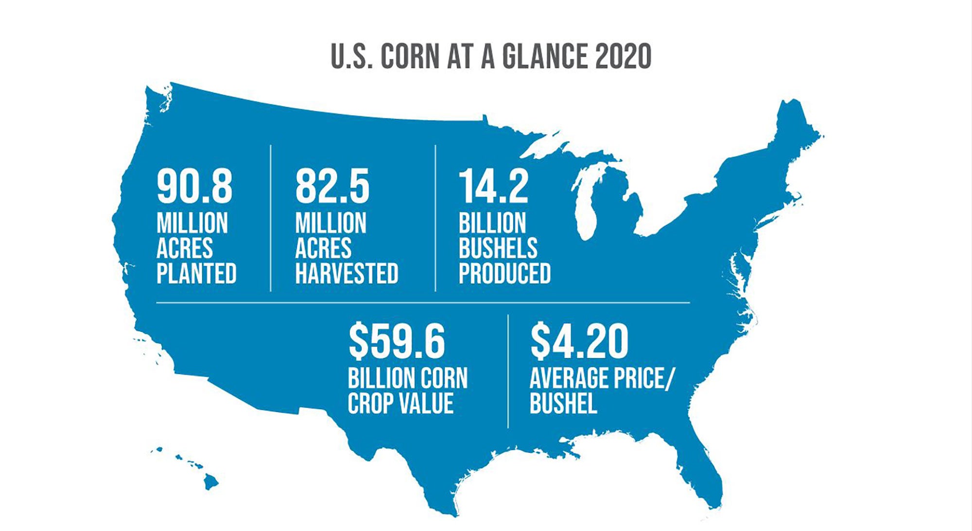 2020-world-of-corn-statistics-report-is-released-agdaily