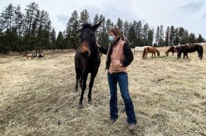 USFS_09_Laura-Johnson-with-mule-Suzanne-Downing