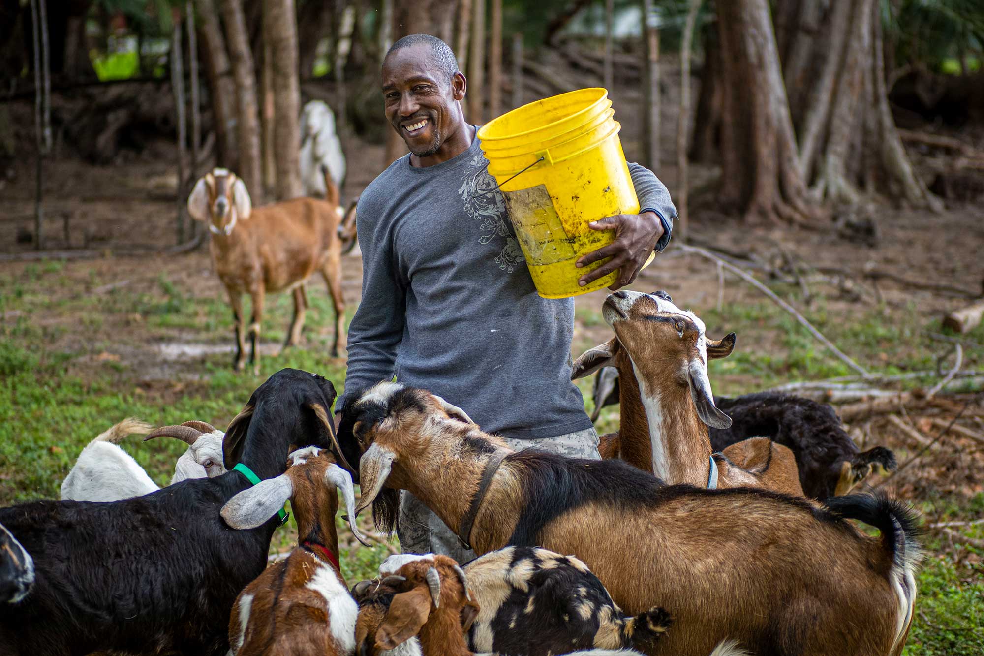 USDA to begin loan payments to minority farmers AGDAILY