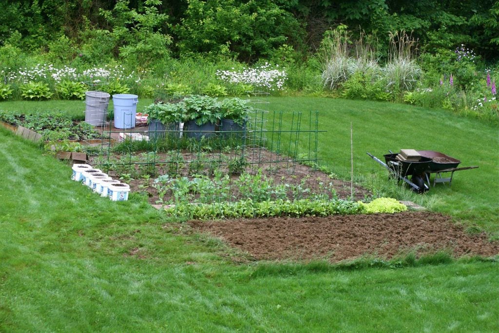 6 reasons you should garden for your health | AGDAILY