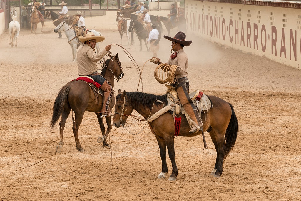 A brief history of rodeo in the United States AGDAILY