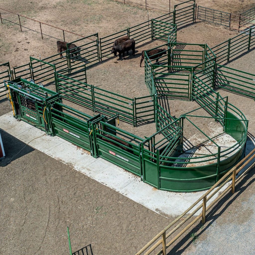 5 simple steps to designing beef cattle corrals AGDAILY