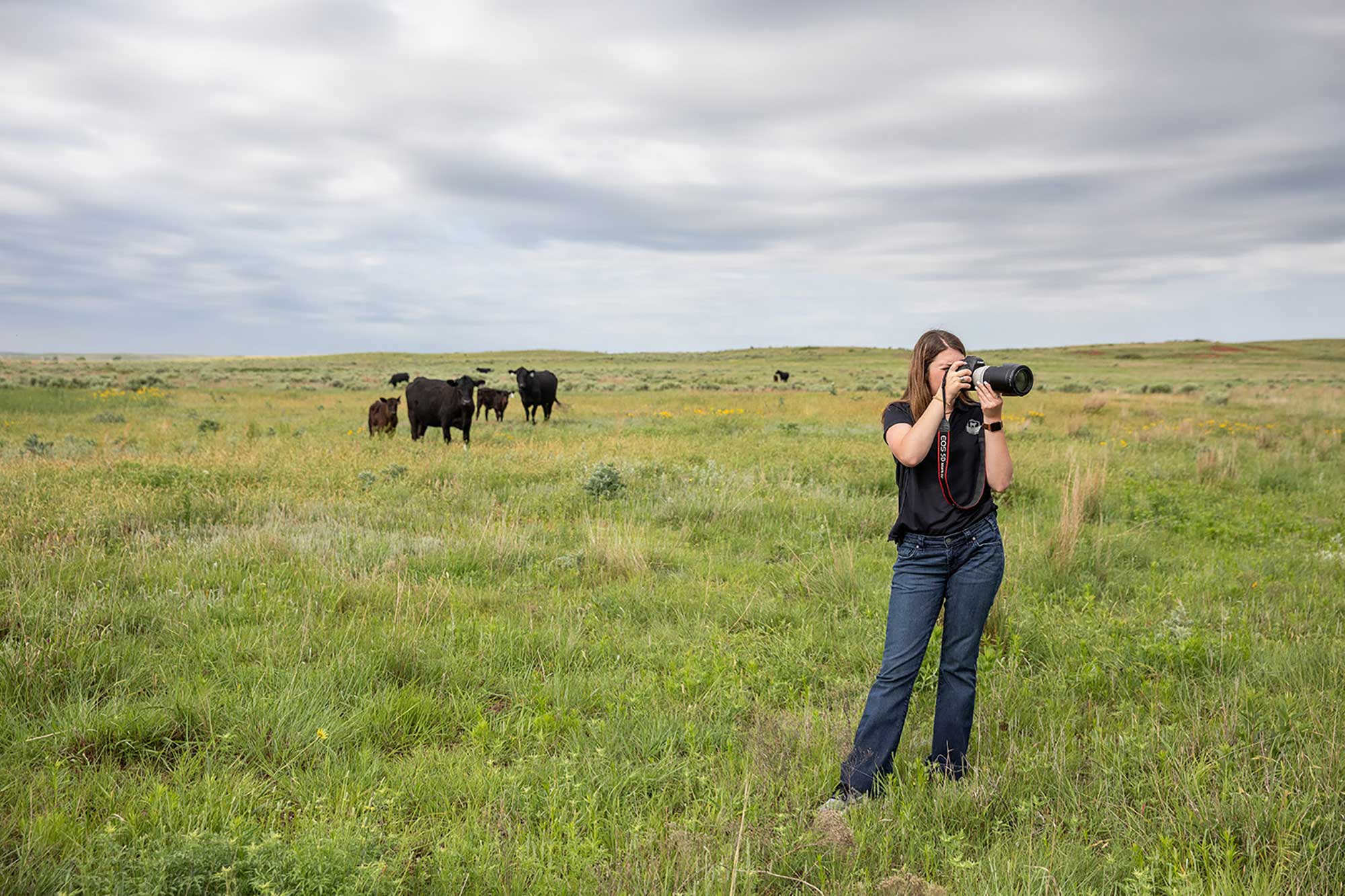 Certified Angus Beef Offers Summer Internships | AGDAILY