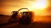 harvest-season-silhouette