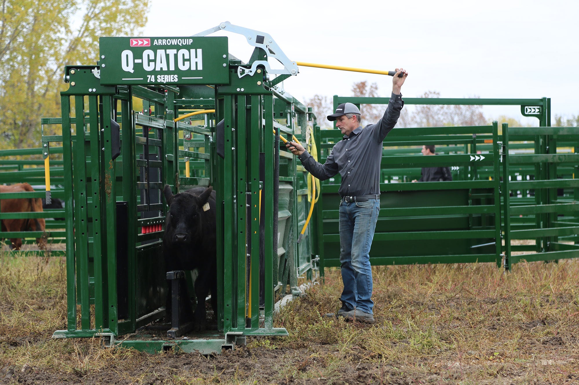 9 ways to make your squeeze chute a valuable hire | AGDAILY