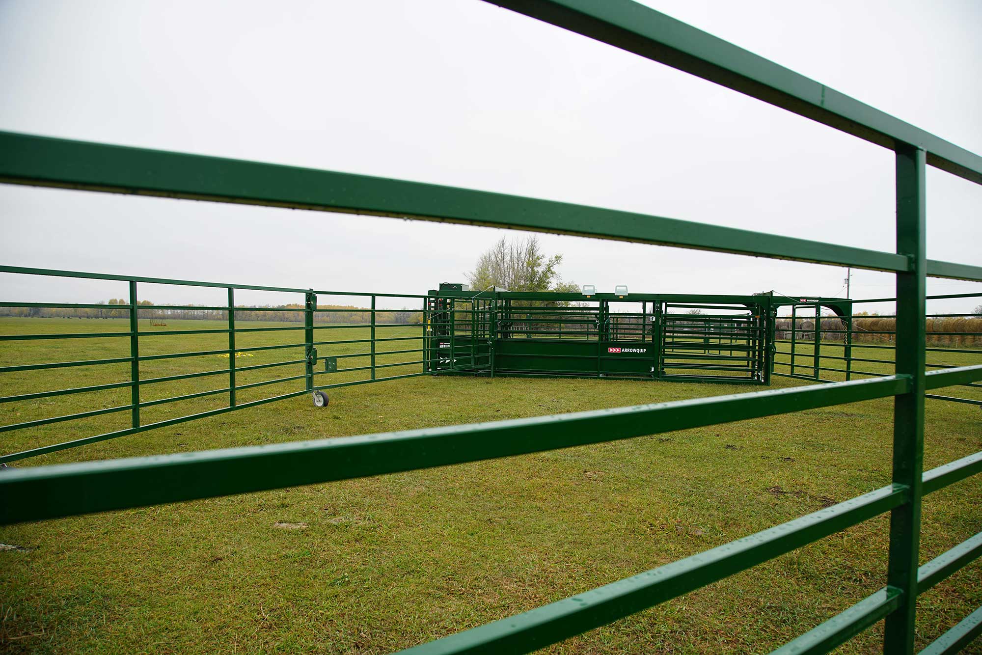 3 Common Portable Cattle Corral Questions Answered | AGDAILY